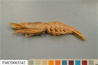 藏品(雄壯鬚蝦)的圖片